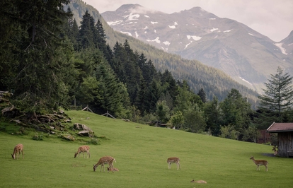 Urlaub in Leogang – unsere Ausflugstipps Salzburger Land